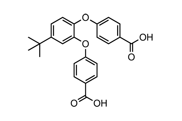4-[4-Tert-butyl-2-(4-carboxyphenoxy)phenoxy]benzoic acidͼƬ