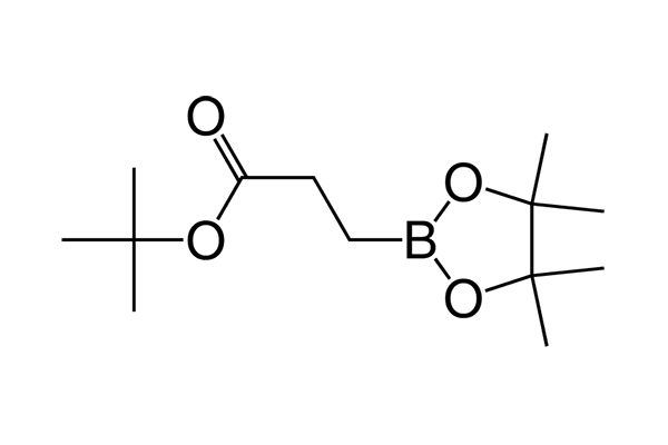 tert-Butyl 3-(4,4,5,5-tetramethyl-[1,3,2]dioxaborolan-2-yl)propionateͼƬ