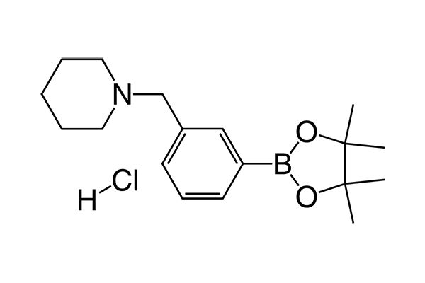 1-(3-(4,4,5,5-Tetramethyl-1,3,2-dioxaborolan-2-yl)benzyl)piperidine hydrochlorideͼƬ