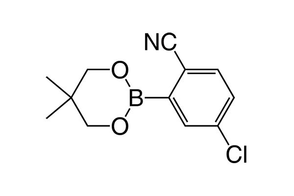 4-Chloro-2-(5,5-dimethyl-1,3,2-dioxaborinan-2-yl)benzonitrileͼƬ