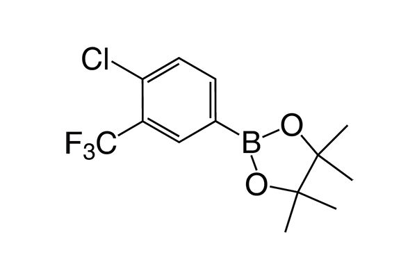 2-(4-Chloro-3-(trifluoromethyl)phenyl)-4,4,5,5-tetramethyl-1,3,2-dioxaborolaneͼƬ