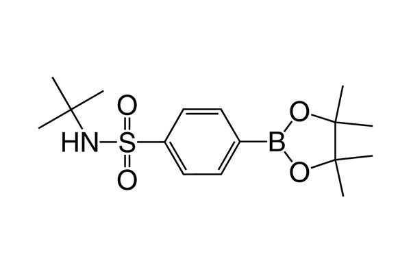 N-tert-Butyl-4-(4,4,5,5-tetramethyl-1,3,2-dioxaborolan-2-yl)benzenesulfonamideͼƬ