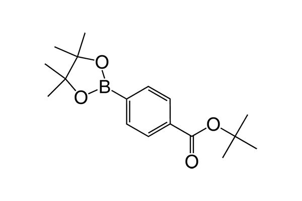 tert-Butyl 4-(4,4,5,5-tetramethyl-1,3,2-dioxaborolan-2-yl)benzoateͼƬ