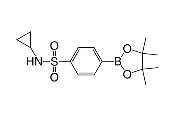 N-Cyclopropyl-4-(4,4,5,5-tetramethyl-1,3,2-dioxaborolan-2-yl)benzenesulfonamideͼƬ
