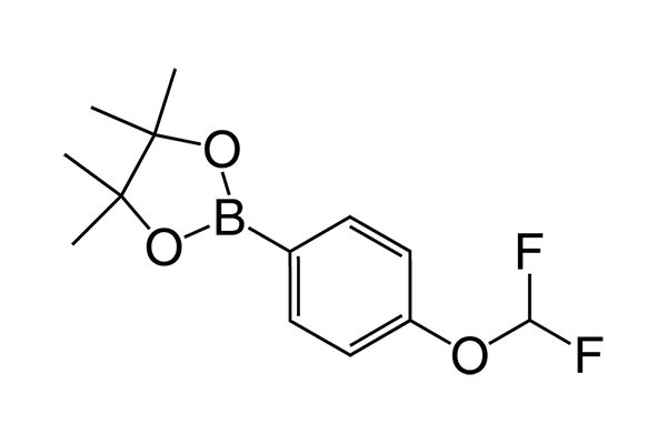 2-(4-(Difluoromethoxy)phenyl)-4,4,5,5-tetramethyl-1,3,2-dioxaborolaneͼƬ