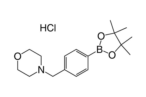 4-(4-(4,4,5,5-Tetramethyl-1,3,2-dioxaborolan-2-yl)benzyl)morpholine hydrochlorideͼƬ