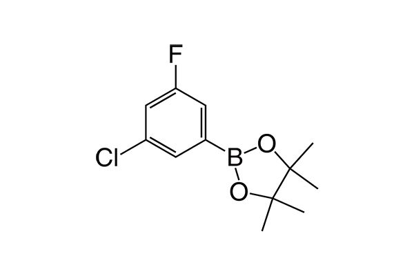 3-Chloro-5-fluoro-(4,4,5,5-tetramethyl-1,3,2-dioxaborolan-2-yl)benzeneͼƬ