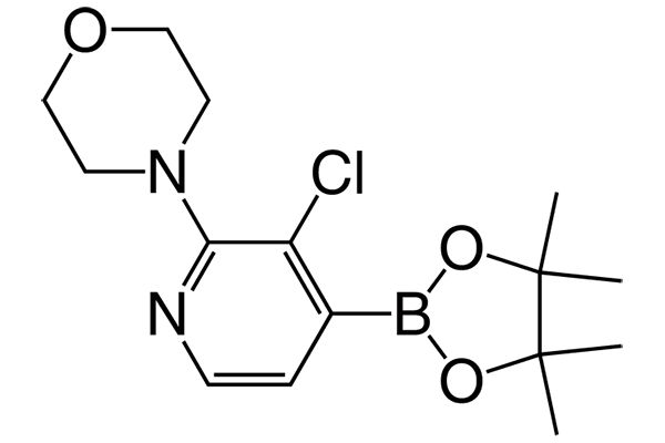 4-(3-Chloro-4-(4,4,5,5-tetramethyl-1,3,2-dioxaborolan-2-yl)pyridin-2-yl)morpholineͼƬ