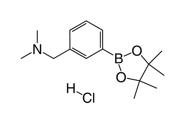 N,N-Dimethyl-1-(3-(4,4,5,5-tetramethyl-1,3,2-dioxaborolan-2-yl)phenyl)methanamine hydrochlorideͼƬ