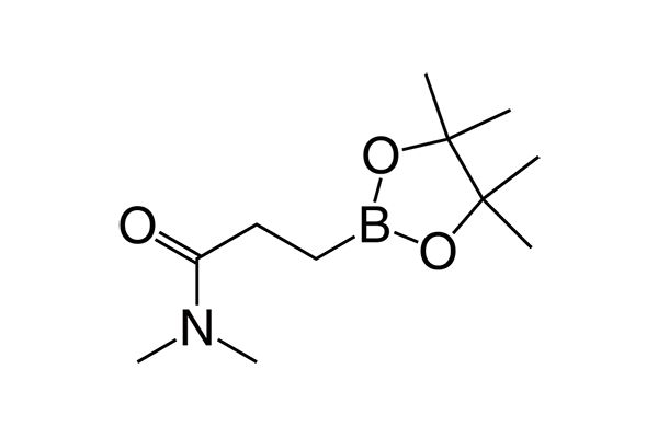 N,N-Dimethyl-3-(4,4,5,5-tetramethyl-1,3,2-dioxaborolan-2-yl)propanamideͼƬ