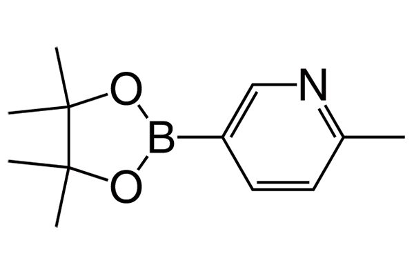 2-Methyl-5-(4,4,5,5-tetramethyl-1,3,2-dioxaborolan-2-yl)pyridineͼƬ