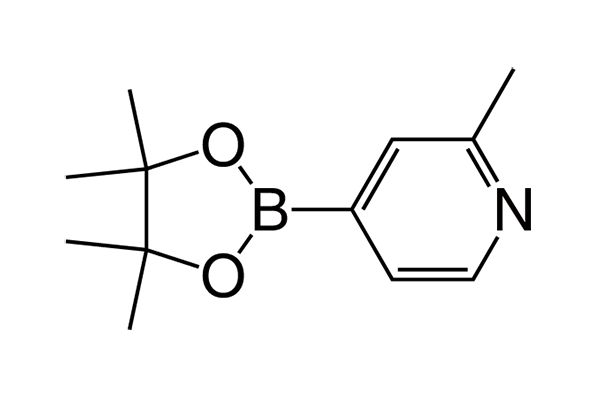 2-Methyl-4-(4,4,5,5-tetramethyl-1,3,2-dioxaborolan-2-yl)pyridineͼƬ