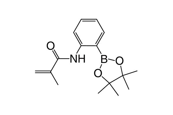 N-(2-(4,4,5,5-Tetramethyl-1,3,2-dioxaborolan-2-yl)phenyl)methacrylamideͼƬ