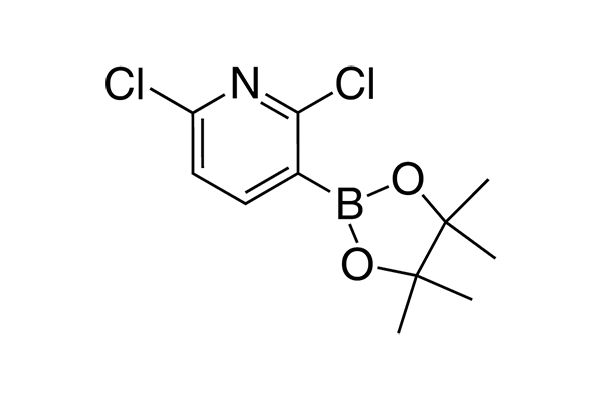 2,6-Dichloro-3-(4,4,5,5-tetramethyl-1,3,2-dioxaborolan-2-yl)pyridineͼƬ