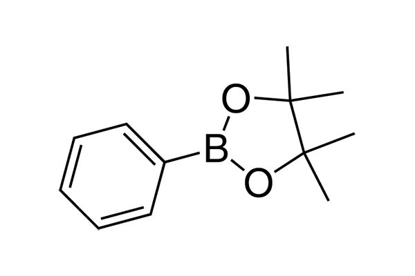 (4,4,5,5-Tetramethyl-1,3,2-dioxaborolan-2-yl)benzeneͼƬ