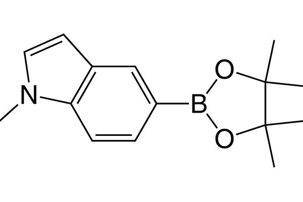 1-Methyl-5-(4,4,5,5-tetramethyl-1,3,2-dioxaborolan-2-yl)-1H-indoleͼƬ