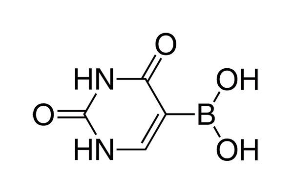 Uracil-5-boronic acidͼƬ