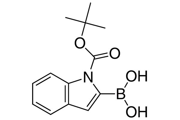 N-BOC-Indole-2-boronic acidͼƬ