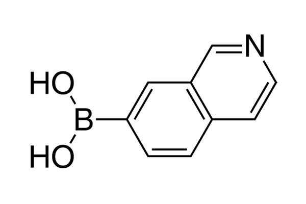 Isoquinoline-7-boronic acidͼƬ