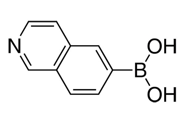 Isoquinoline-6-boronic acidͼƬ
