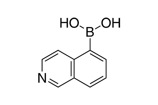 Isoquinoline-5-boronic acidͼƬ