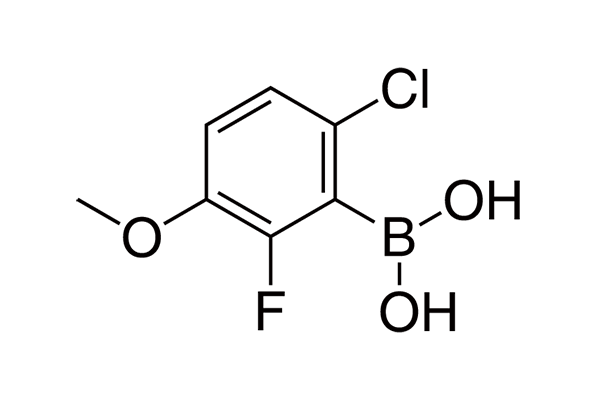6-Chloro-2-fluoro-3-methoxyphenylboronic acidͼƬ