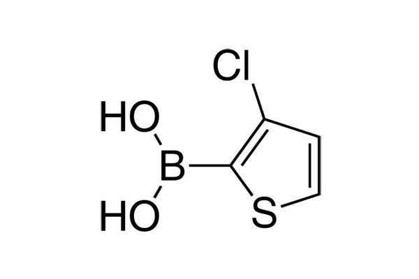 3-Chlorothiophene-2-boronic acidͼƬ