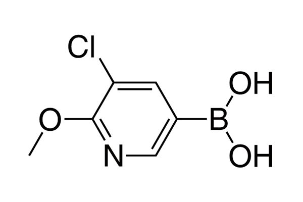 3-Chloro-2-methoxypyridine-5-boronic acidͼƬ