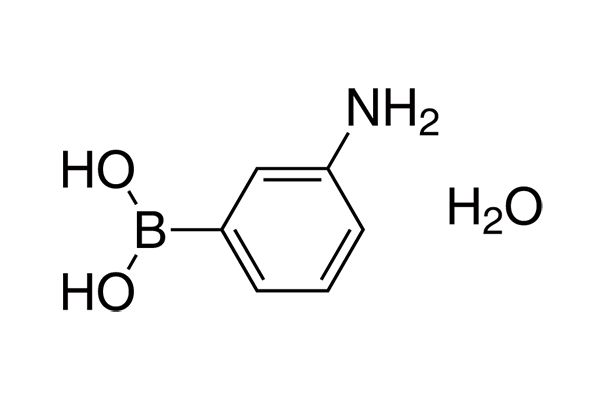 3-Aminophenylboronic acid monohydrateͼƬ