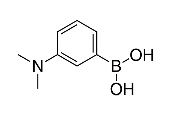 3-(N,N-Dimethylamino)phenylboronic acidͼƬ