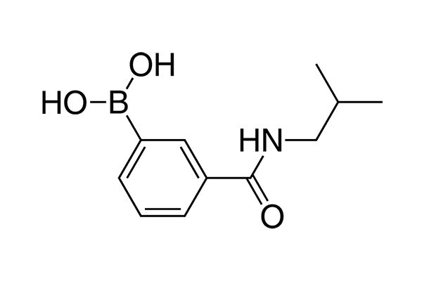 3-(Isobutylaminocarbonyl)phenylboronic acidͼƬ
