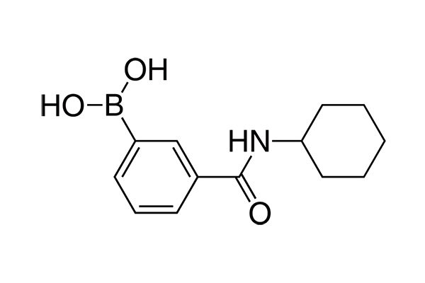 3-(Cyclohexylaminocarbonyl)phenylboronic acidͼƬ