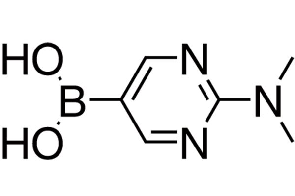 2-Dimethylaminopyrimidinyl-5-boronic acidͼƬ