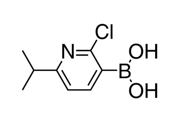 2-Chloro-6-isopropylpyridine-3-boronic acidͼƬ