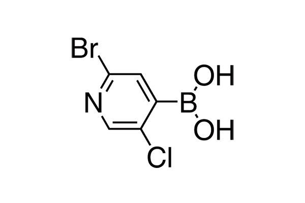 2-Bromo-5-chloropyridine-4-boronic acidͼƬ