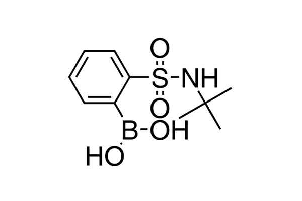 2-(tert-Butylamino)sulfonylphenylboronic acidͼƬ