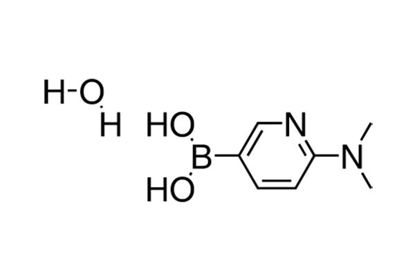2-(N,N-Dimethylamino)pyridine-5-boronic acid hydrateͼƬ