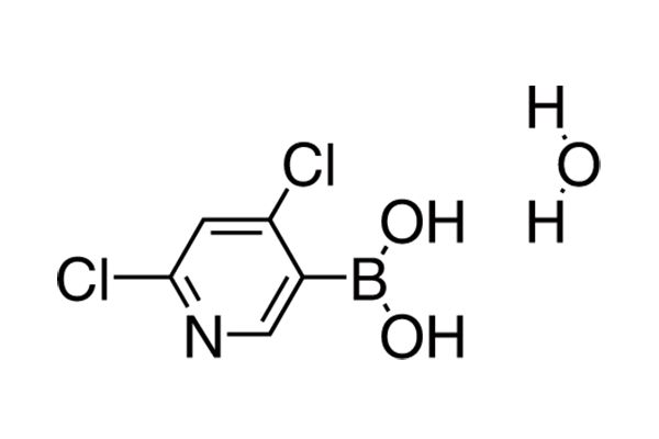 2,4-Dichloropyridine-5-boronic acid hydrateͼƬ