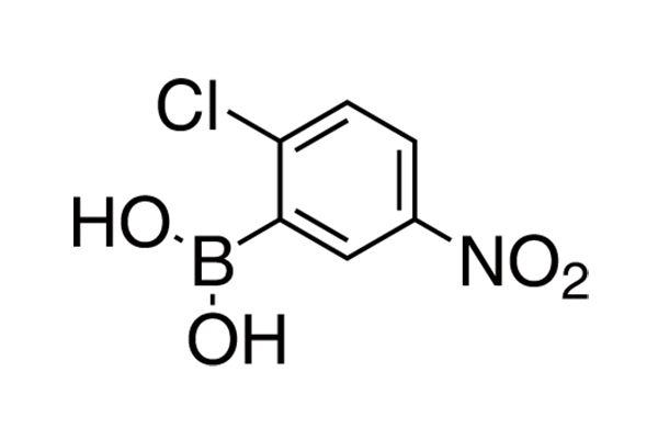 2-Chloro-5-nitrophenylboronic acidͼƬ
