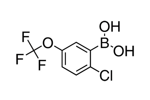 2-Chloro-5-(trifluoromethoxy)phenylboronic acidͼƬ