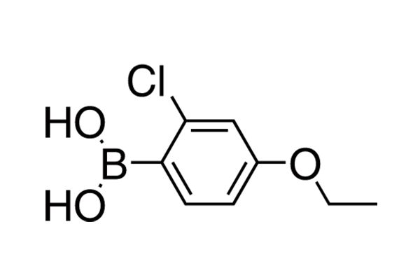 2-Chloro-4-ethoxyphenylboronic acid图片