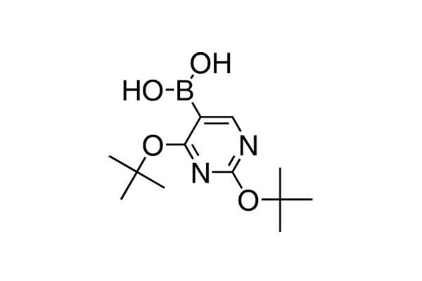 2,4-Di(tert-butoxy)pyrimidine-5-boronic acidͼƬ