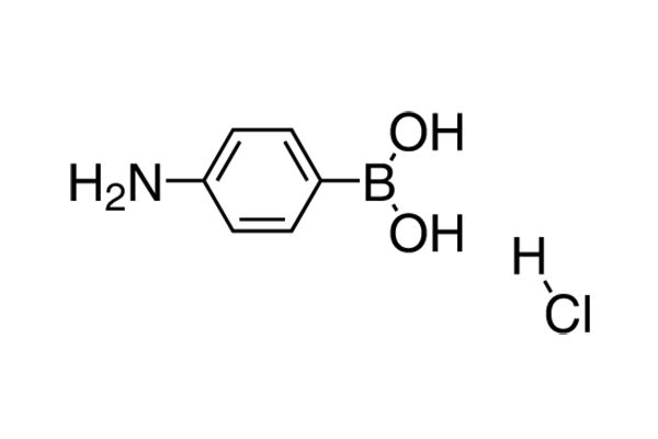 4-Aminophenylboronic acid hydrochlorideͼƬ