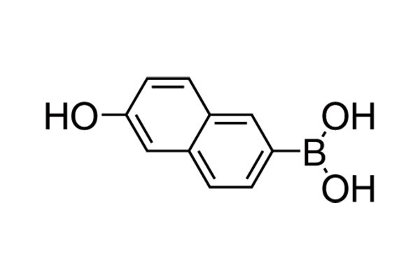 6-Hydroxy-2-naphthaleneboronic acidͼƬ