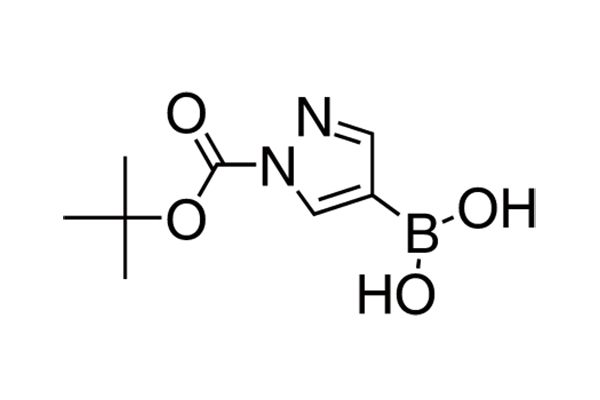 1-tert-Butoxycarbonyl-1H-pyrazole-4-boronic acidͼƬ