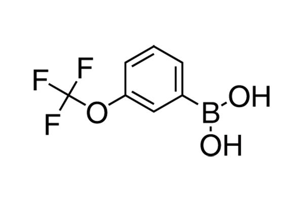 3-Trifluoromethoxyphenylboronic acidͼƬ