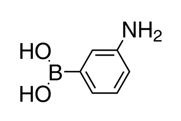 3-Aminobenzeneboronic acidͼƬ