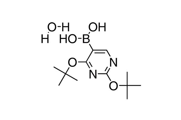 2,4-Di(tert-butoxy)pyrimidin-5-ylboronic acid hydrateͼƬ