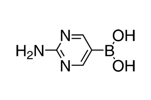 2-Amino-pyrimidine-5-boronic acid图片