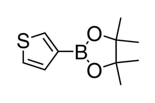 3-(4,4,5,5-Tetramethyl-1,3,2-dioxaborolan-2-yl)thiopheneͼƬ